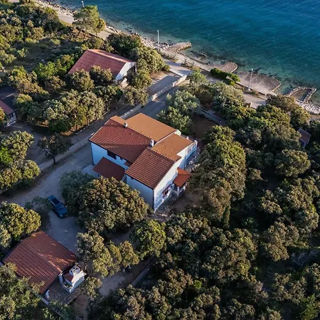 Uga